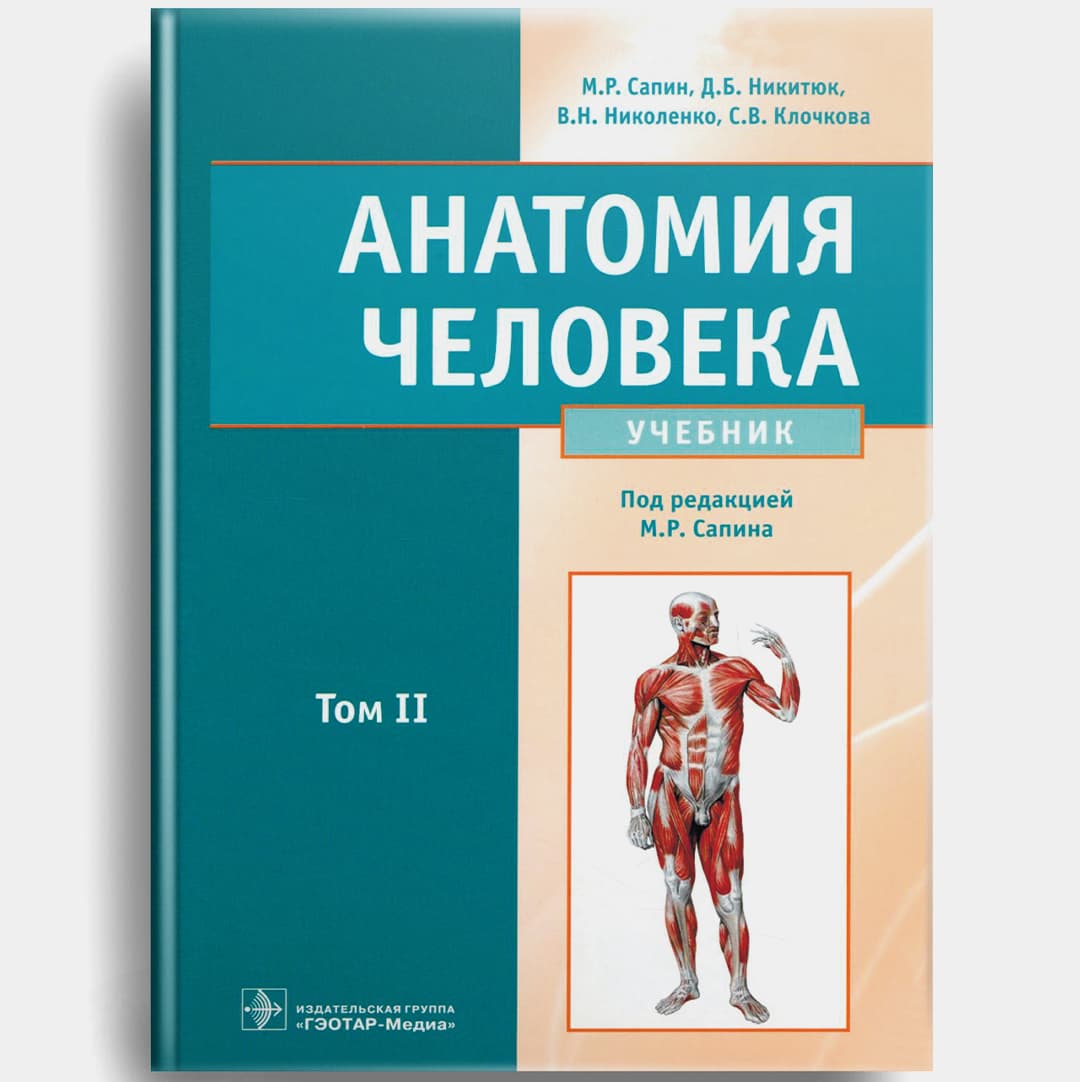 Sapin 2-tom Anatomiya
