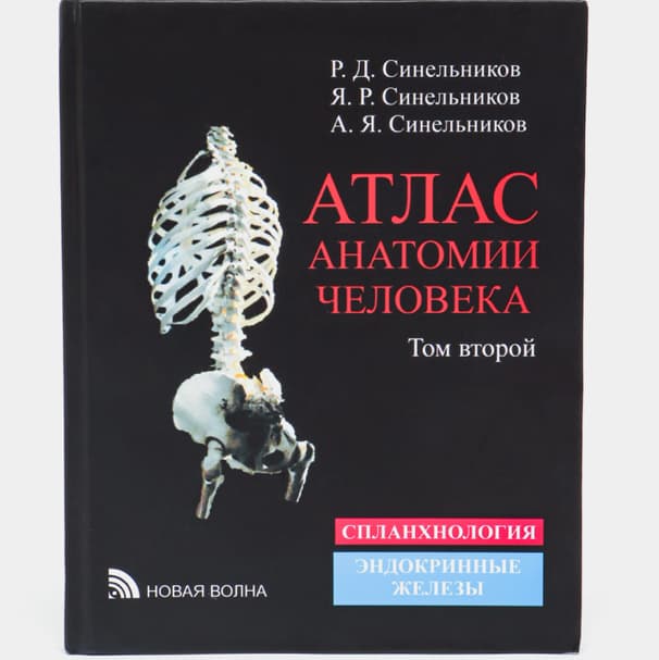 Sinelnikov anatomiyasi 2-tom