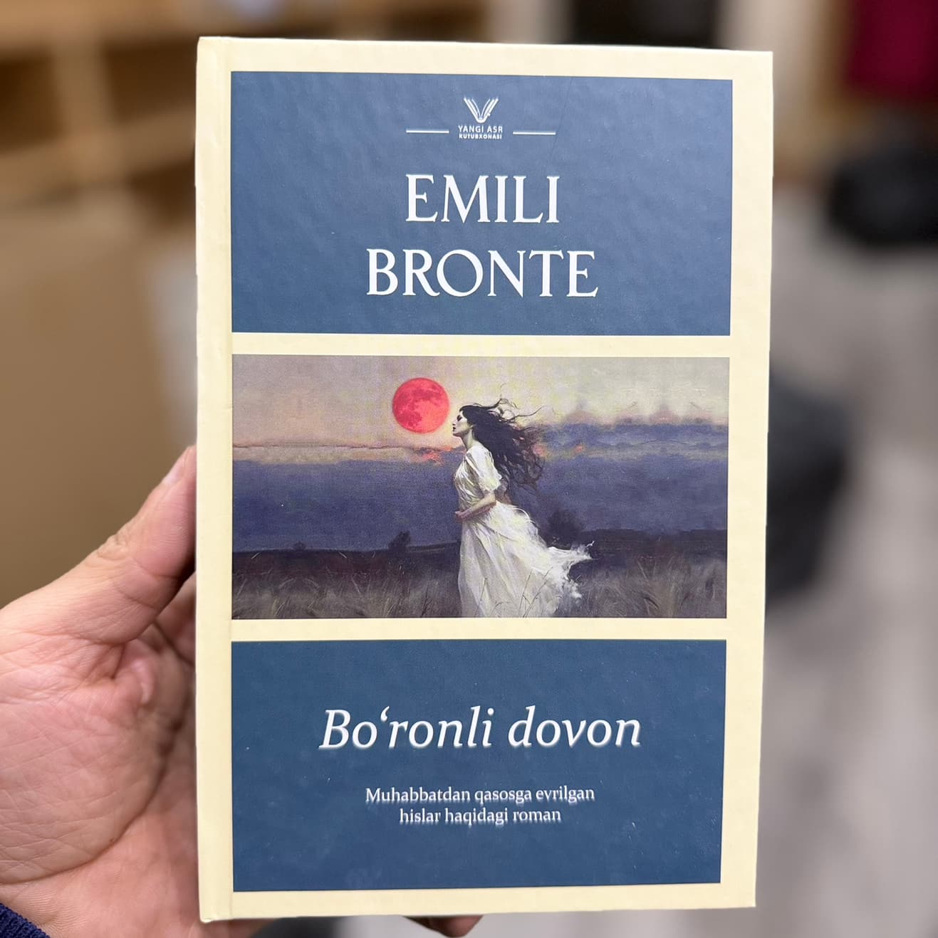 Bo’ronli dovon