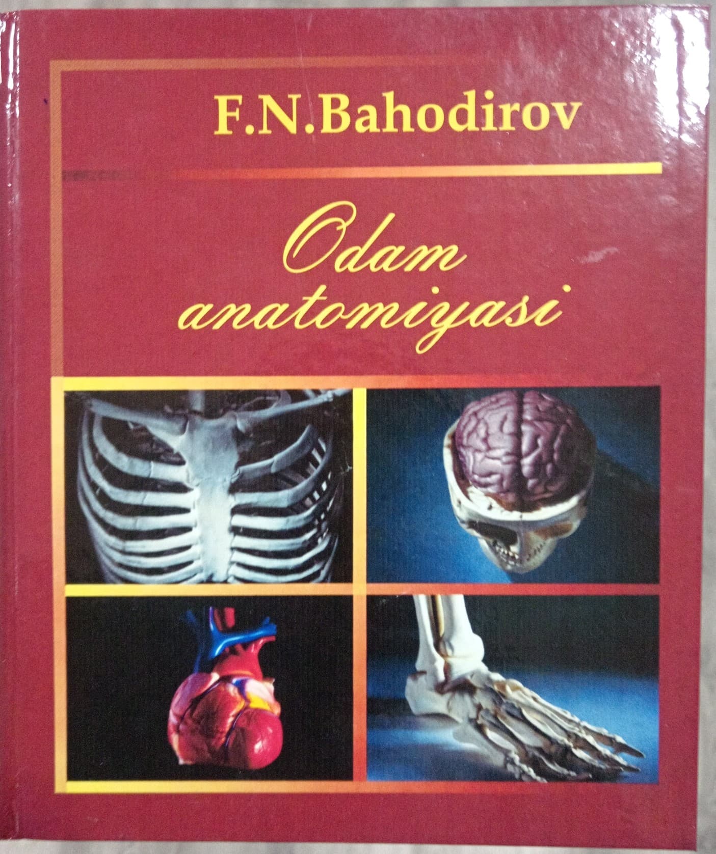 Odam anatomiyasi Bahodirov