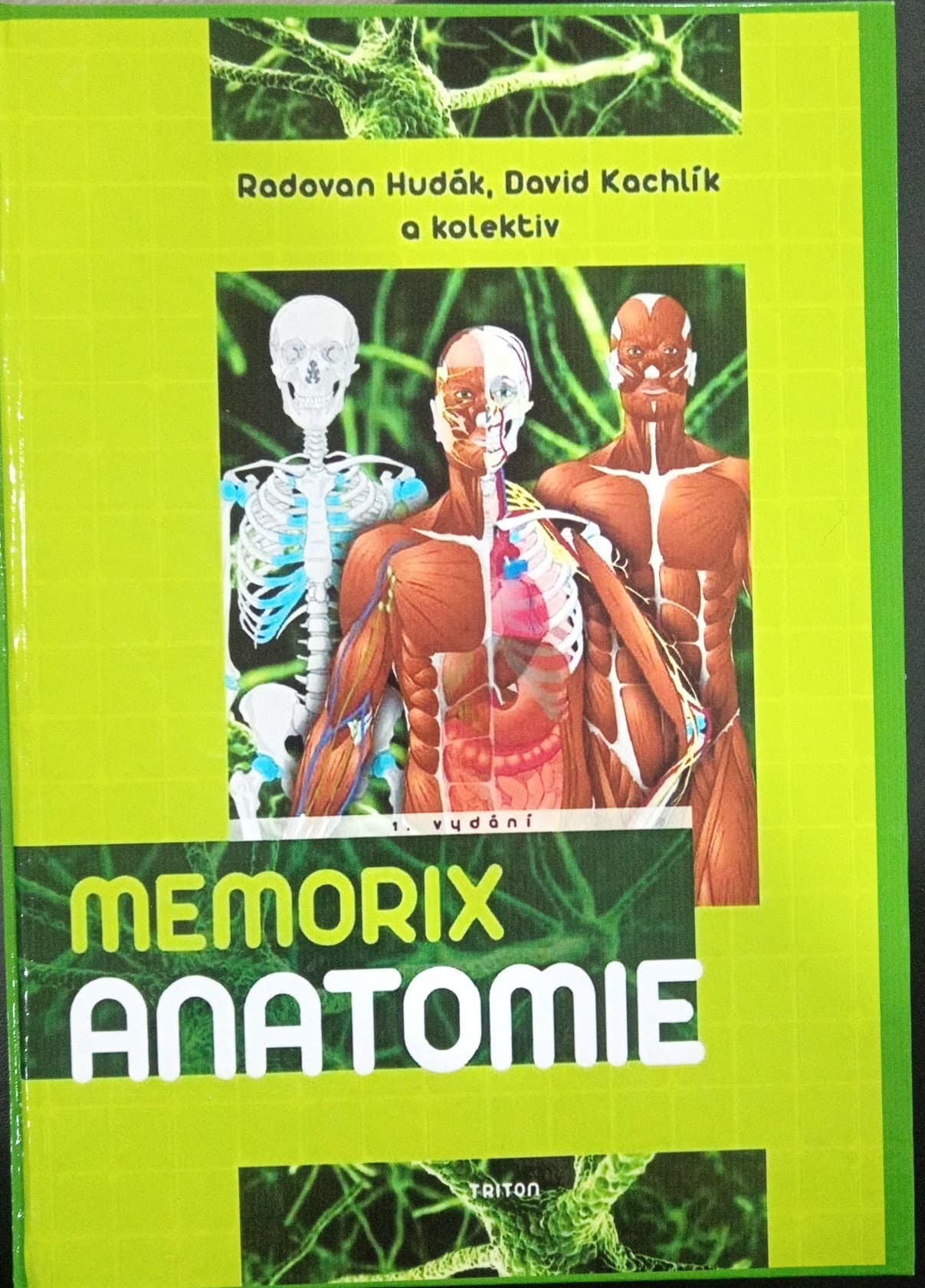 Anatomiya Memorix