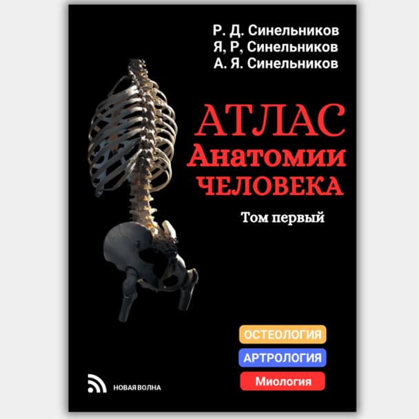 Sinelnikov anatomiyasi 1-tom