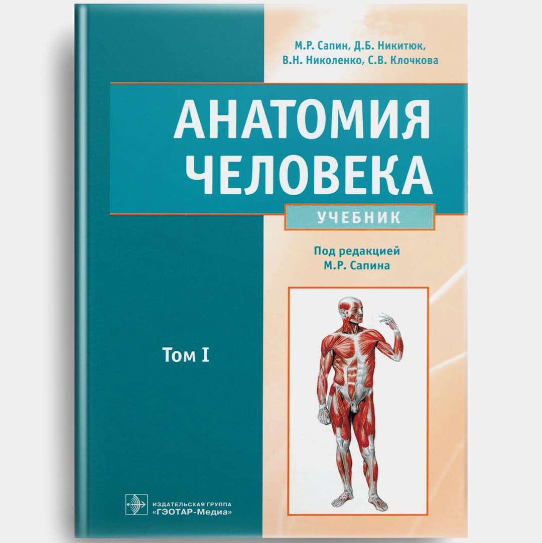 Sapin 1-tom Anatomiya