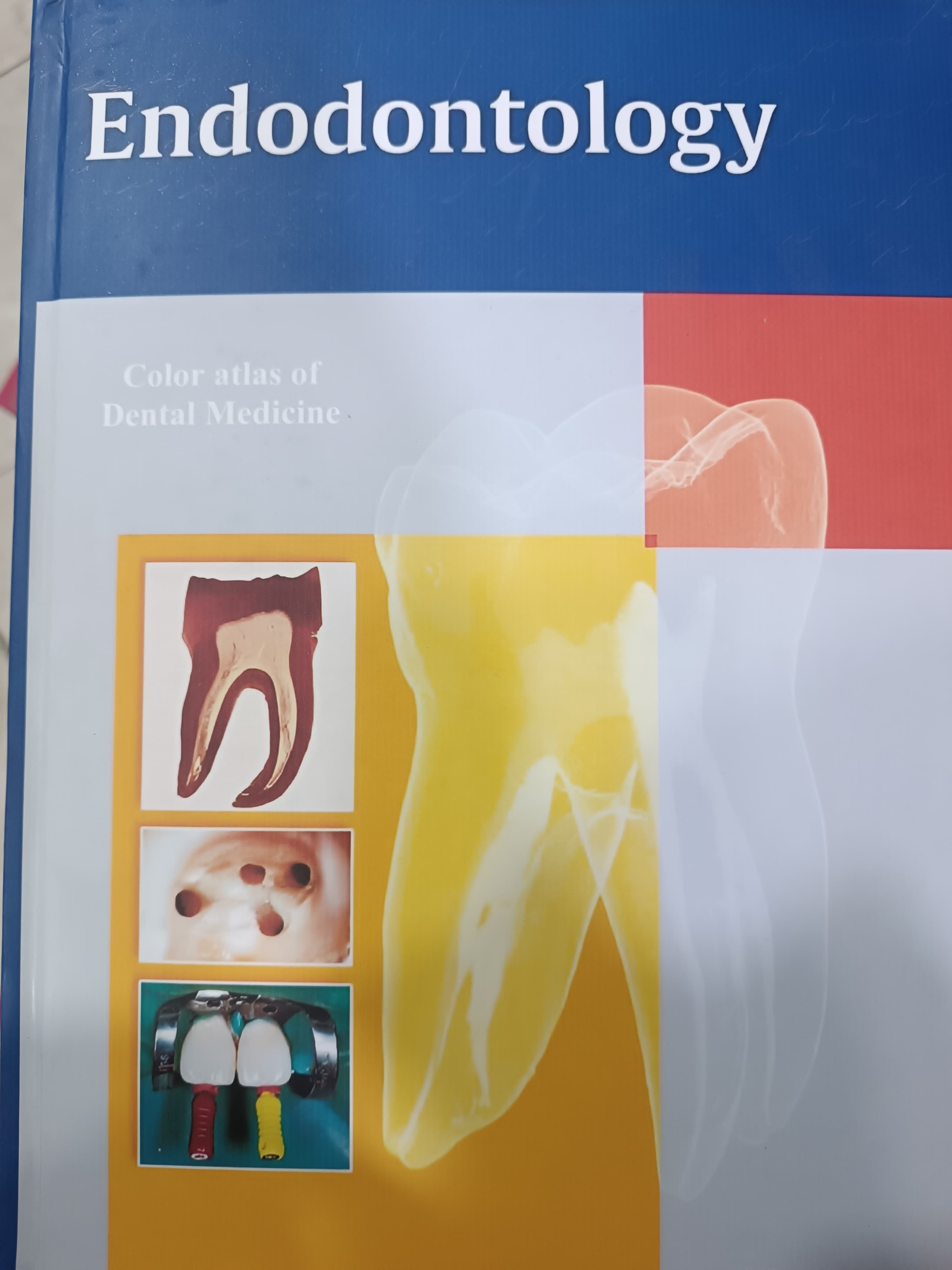 endodontology klous H A4