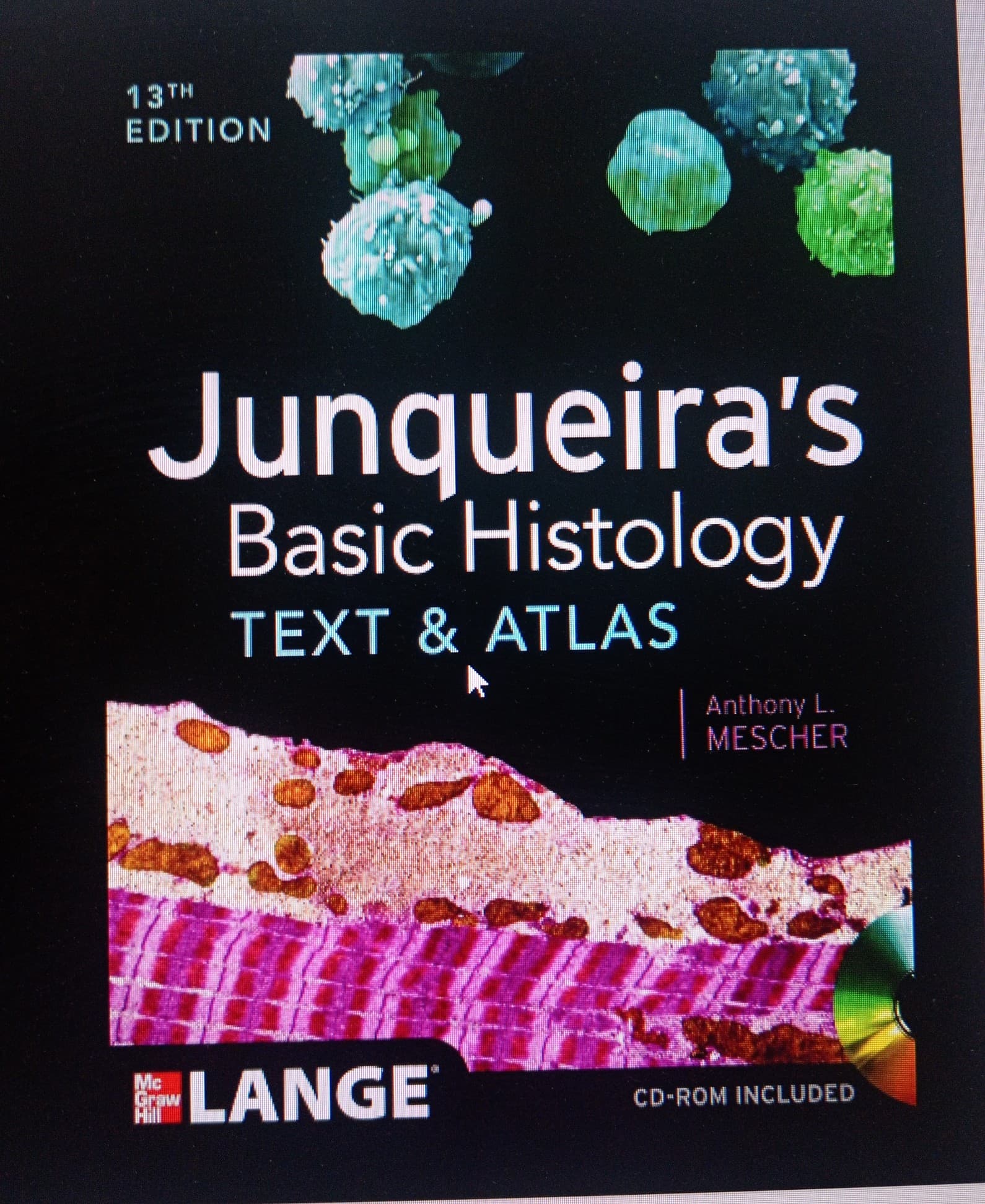 Junkeyra gistologiya ingliz