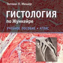 RUSCHA Junkeyra gistologiya