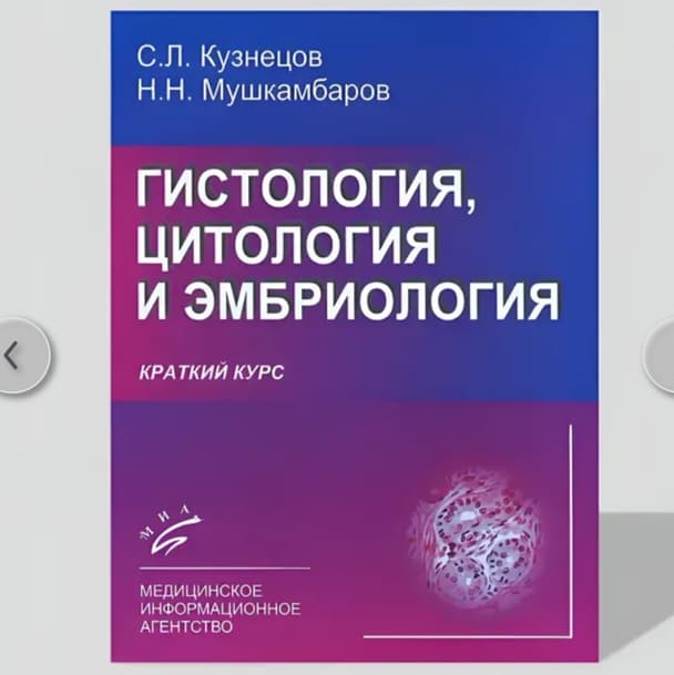 Gistologiya Kuznetsov